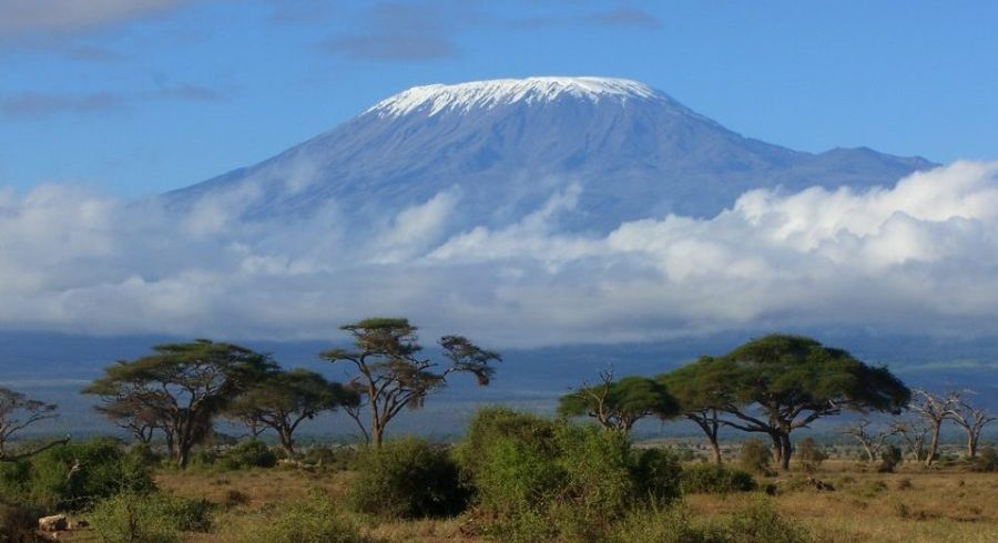 Lemosho Kilimanjaro Climb 7 Days