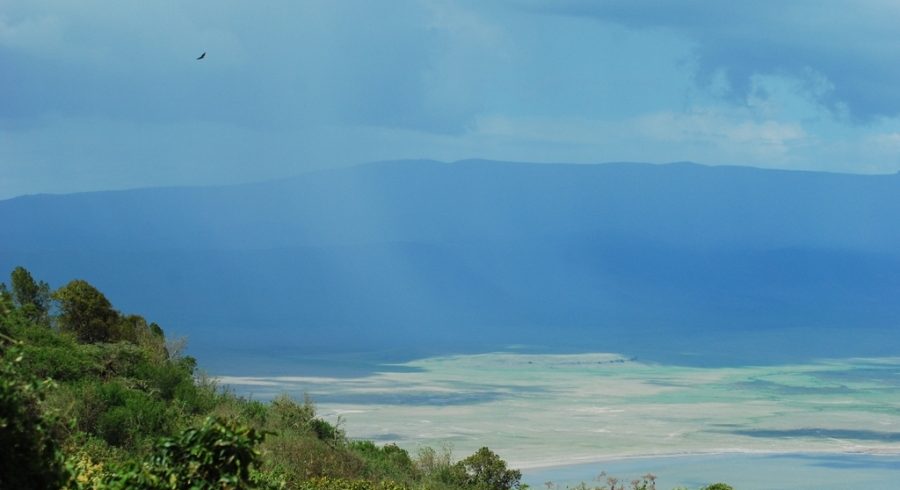 Ngorongoro Crater Day Trip