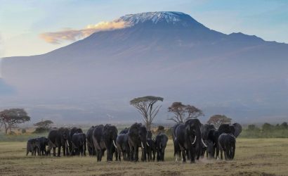 Rongai Kilimanjaro Climb 7 Days