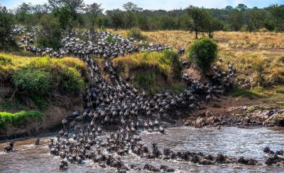 Serengeti Migration 4 Day Safari