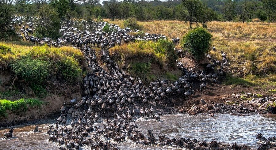 Serengeti Migration 4 Day Safari