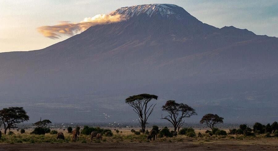 Shira Kilimanjaro Climb 6 Days