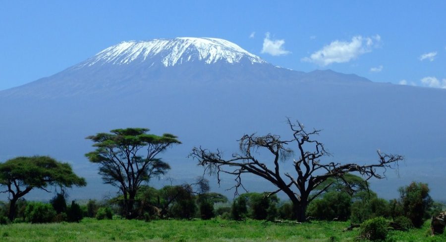 Shira Kilimanjaro Climb 7 Days