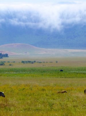 Ngorongoro Crater