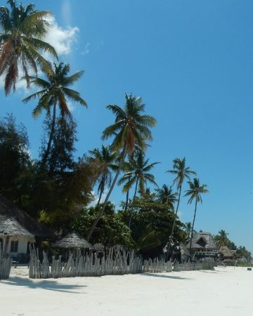 Zanzibar Holidays