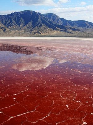 Lake Natron