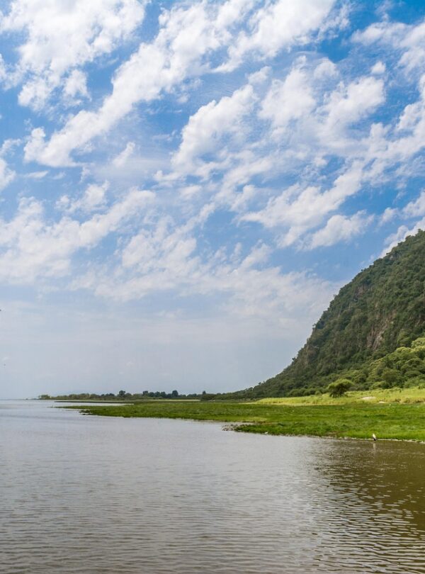 lake, manyara, africa, nature, national, tanzania, landscape, manyara, manyara, manyara, manyara, manyara