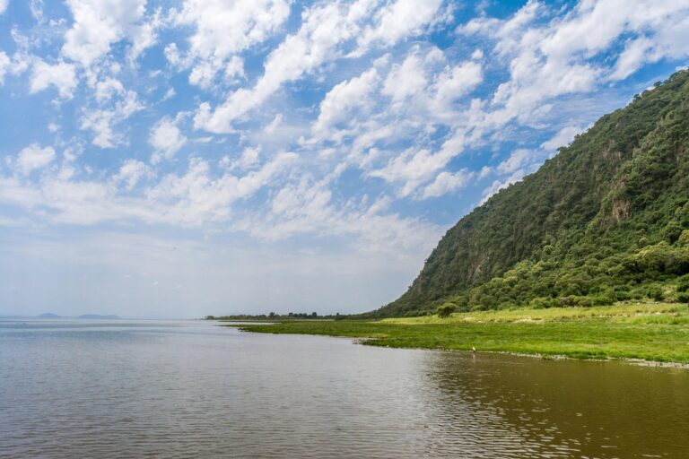 lake, manyara, africa, nature, national, tanzania, landscape, manyara, manyara, manyara, manyara, manyara