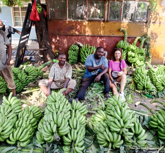 About Us banana market