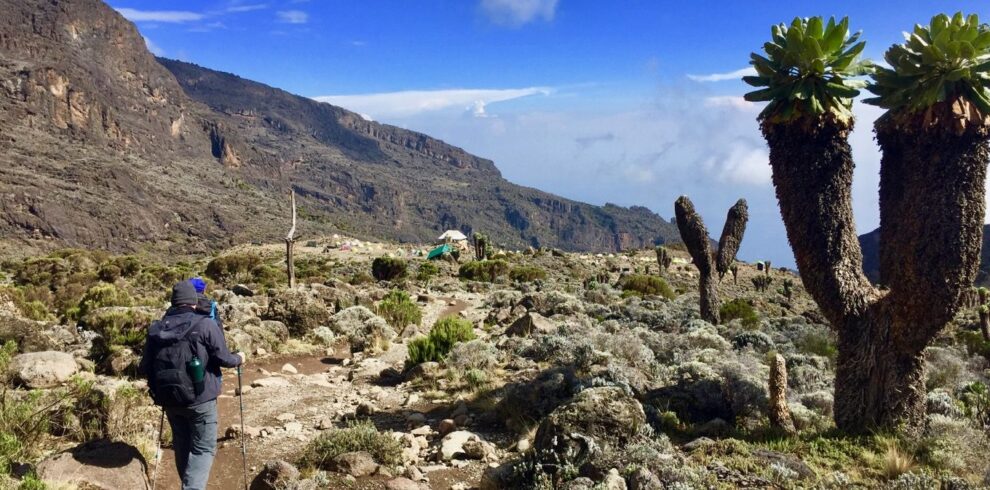 machame route